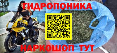 гидра Рузаевка