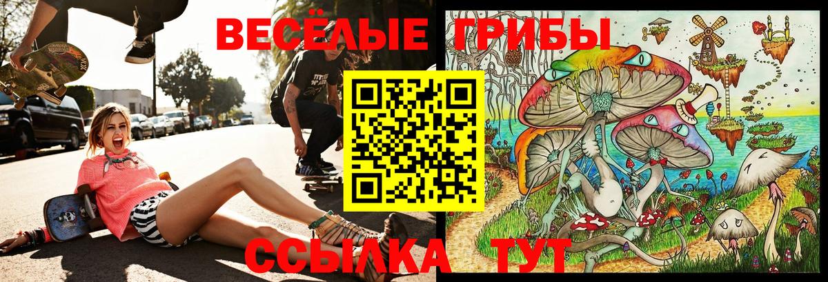 Псилоцибиновые грибы ЛСД  Галлюциногенные грибы Cubensis  Вход с VPN  Семёнов 
