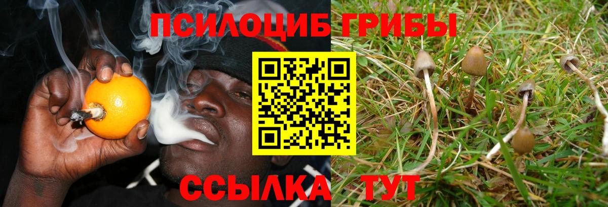 Галлюциногенные грибы Cubensis Семёнов